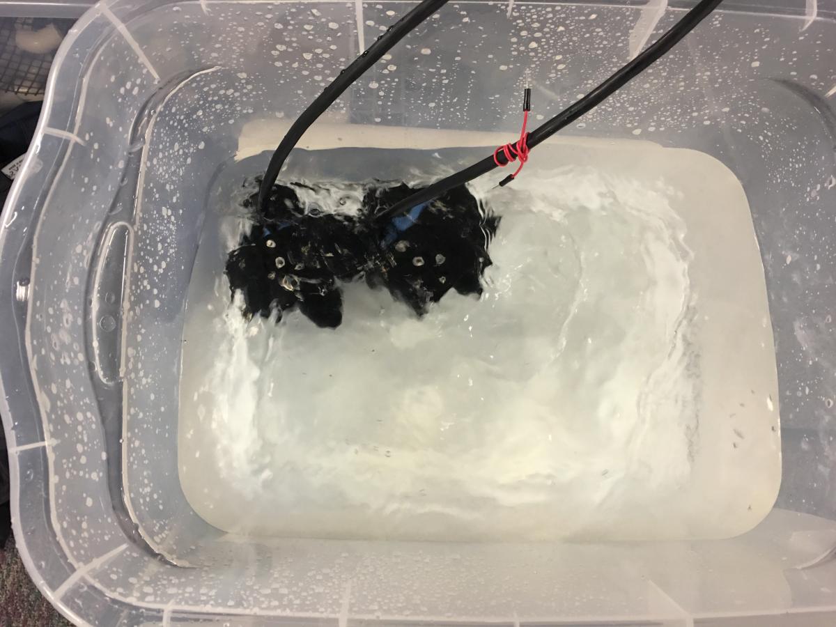 Surface ROV motors